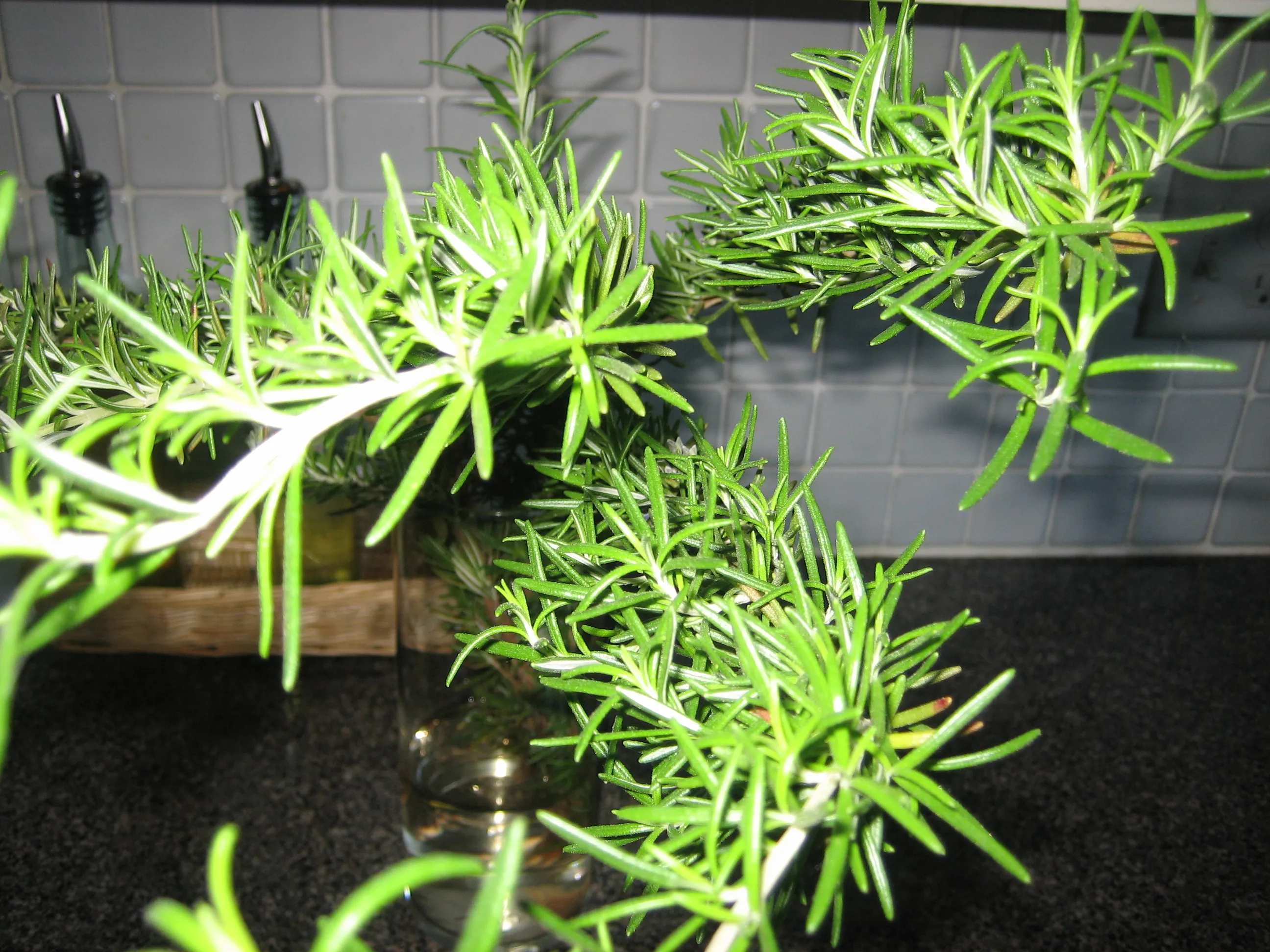 rosemary vase