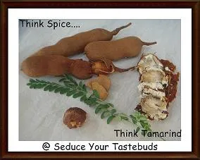 think spice logo