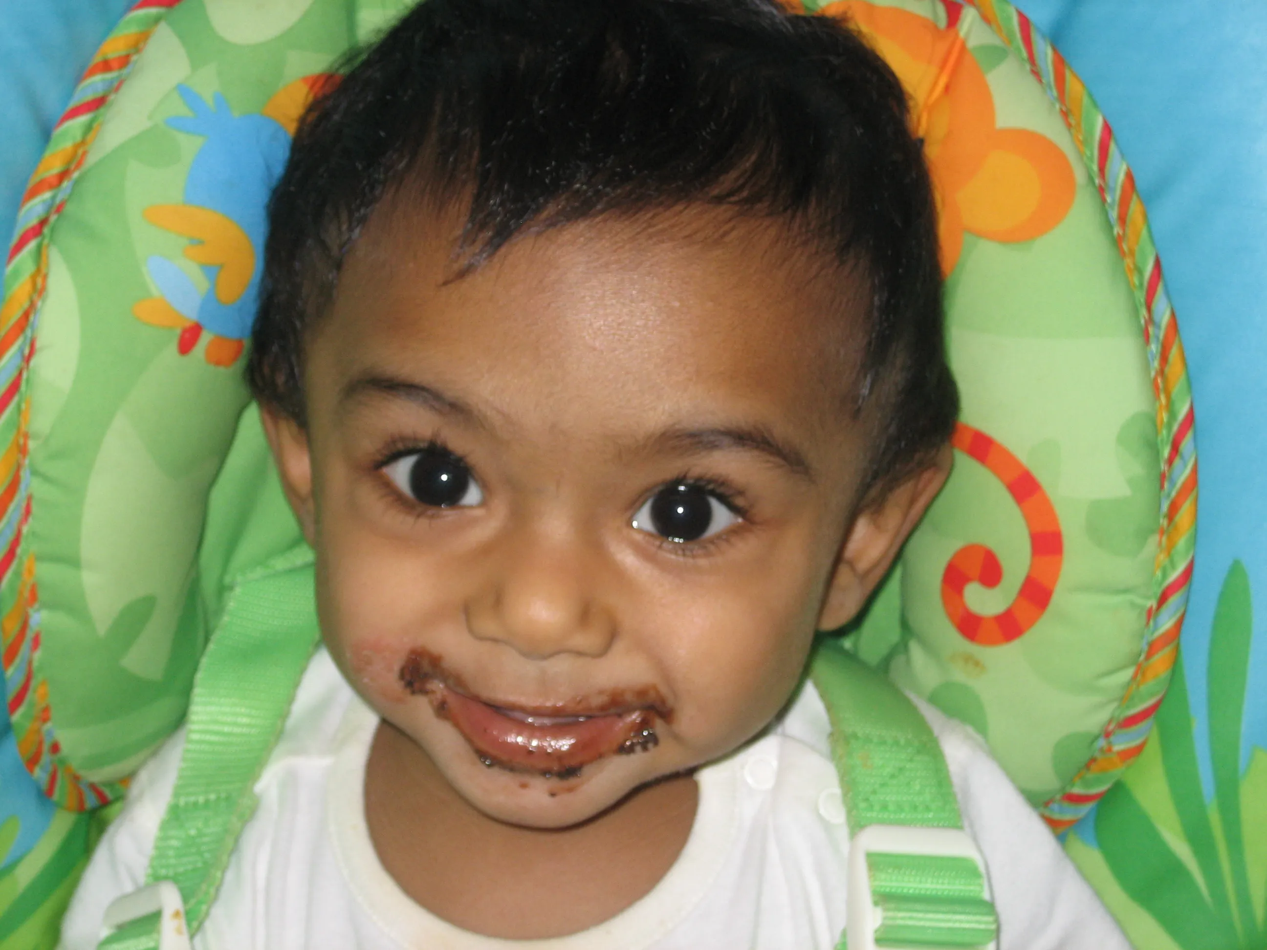 Benji chocolate face