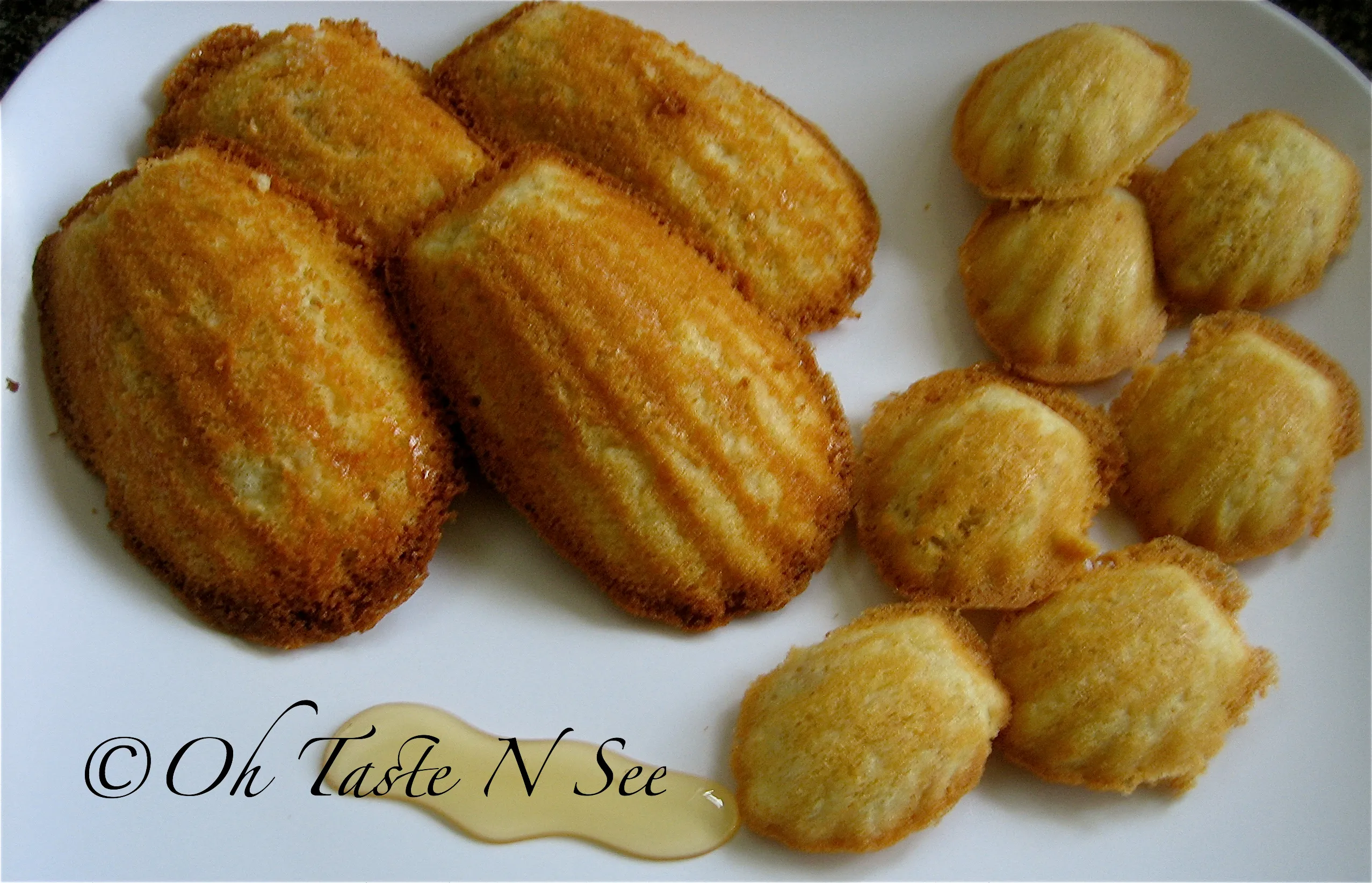 Honey Madeleines