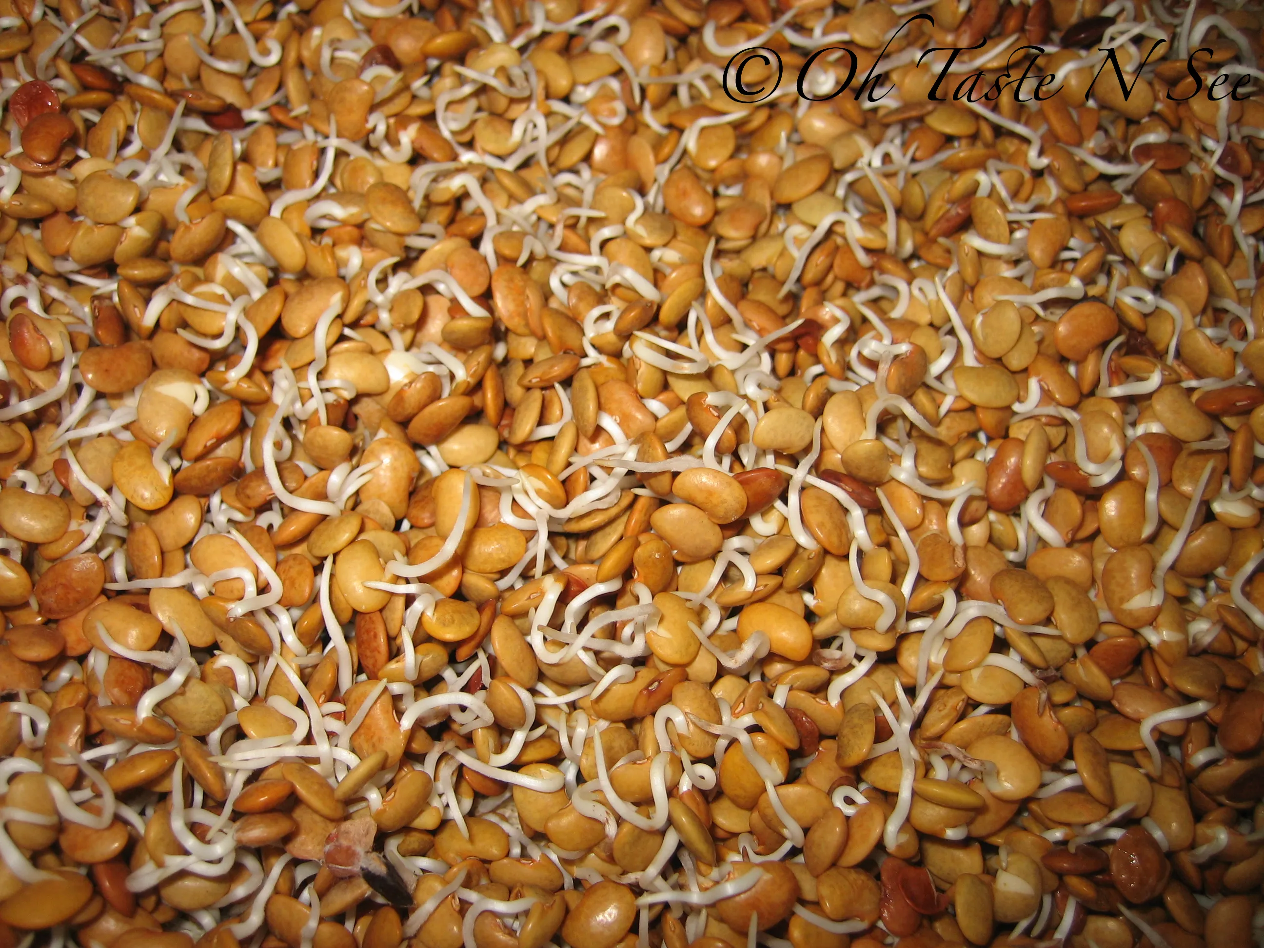 Sprouted Horse gram Korma /Kollu Kurma