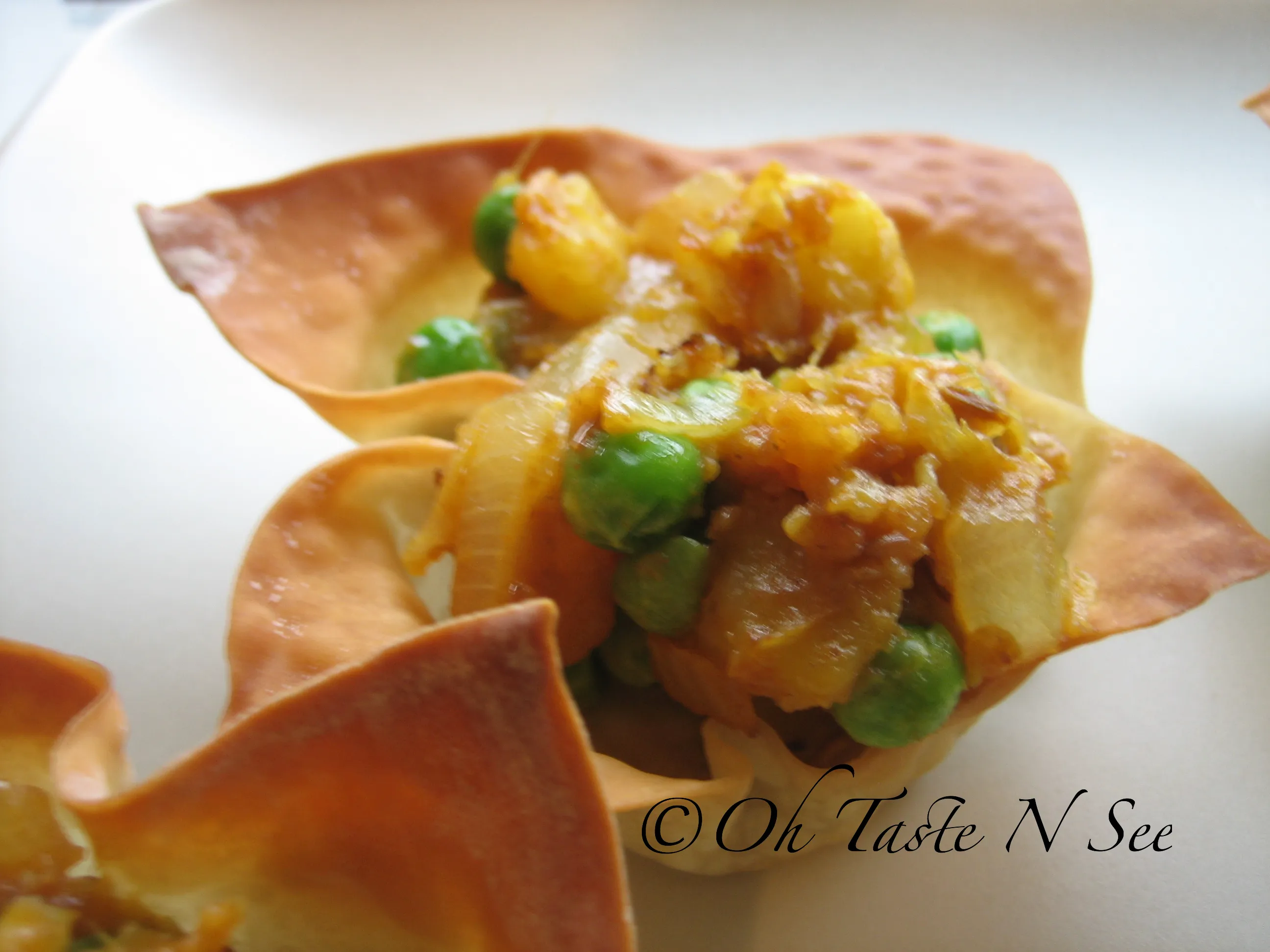 Wonton cups 2