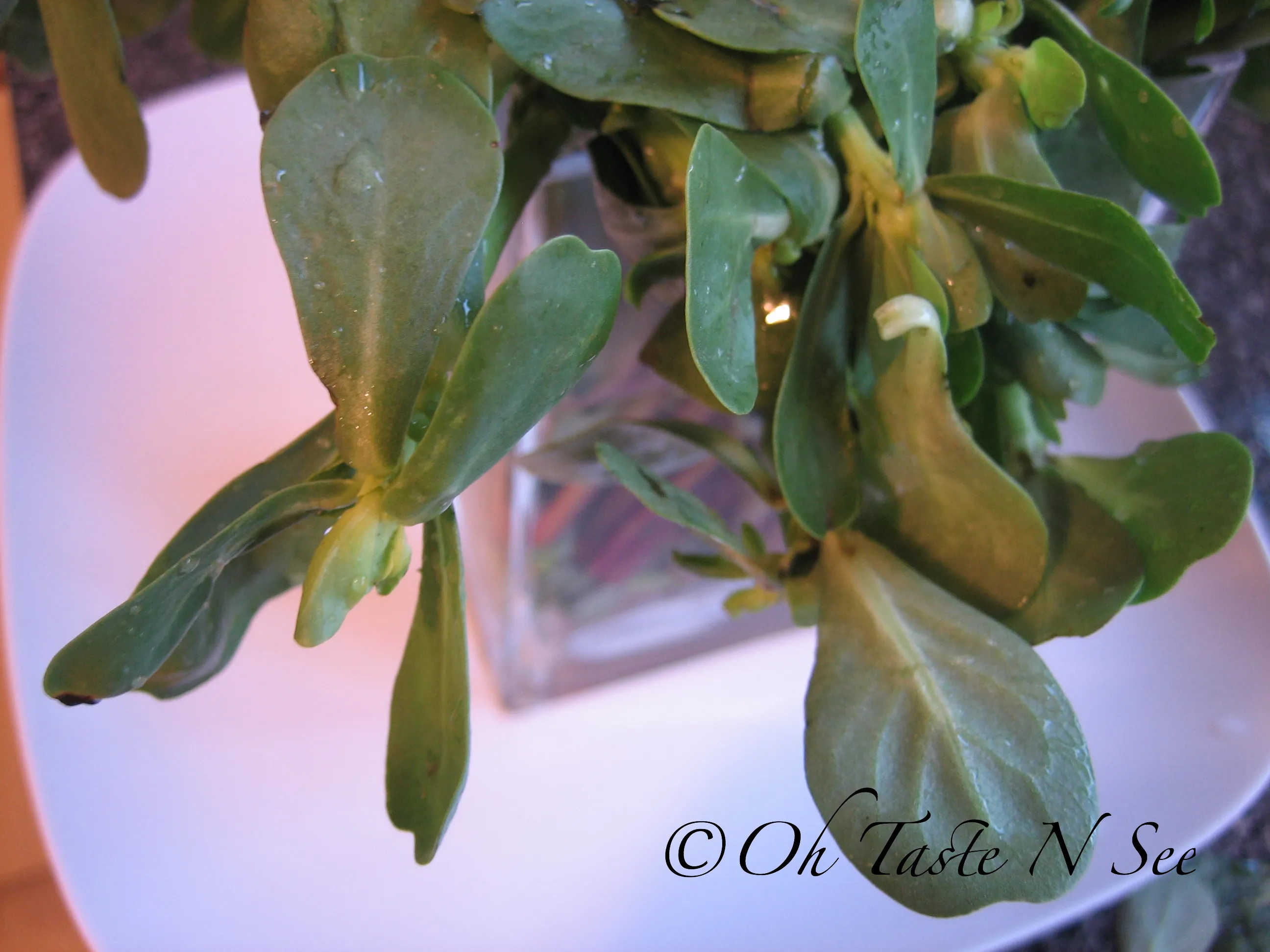 Farmer's Market Find: Purslane Dal(Paruppu Keerai Dal)