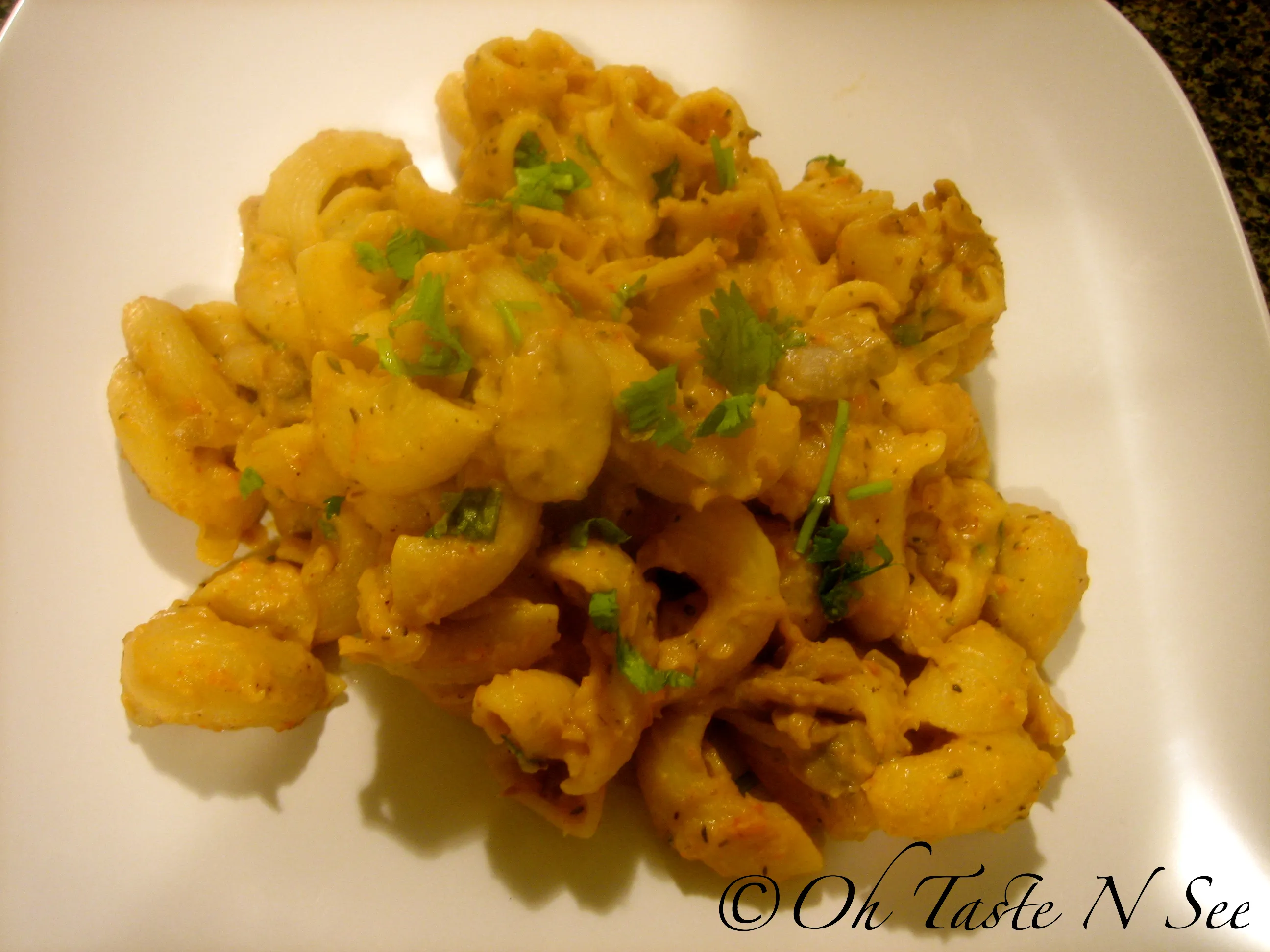 Roasted Red Pepper Hummus Pasta 2