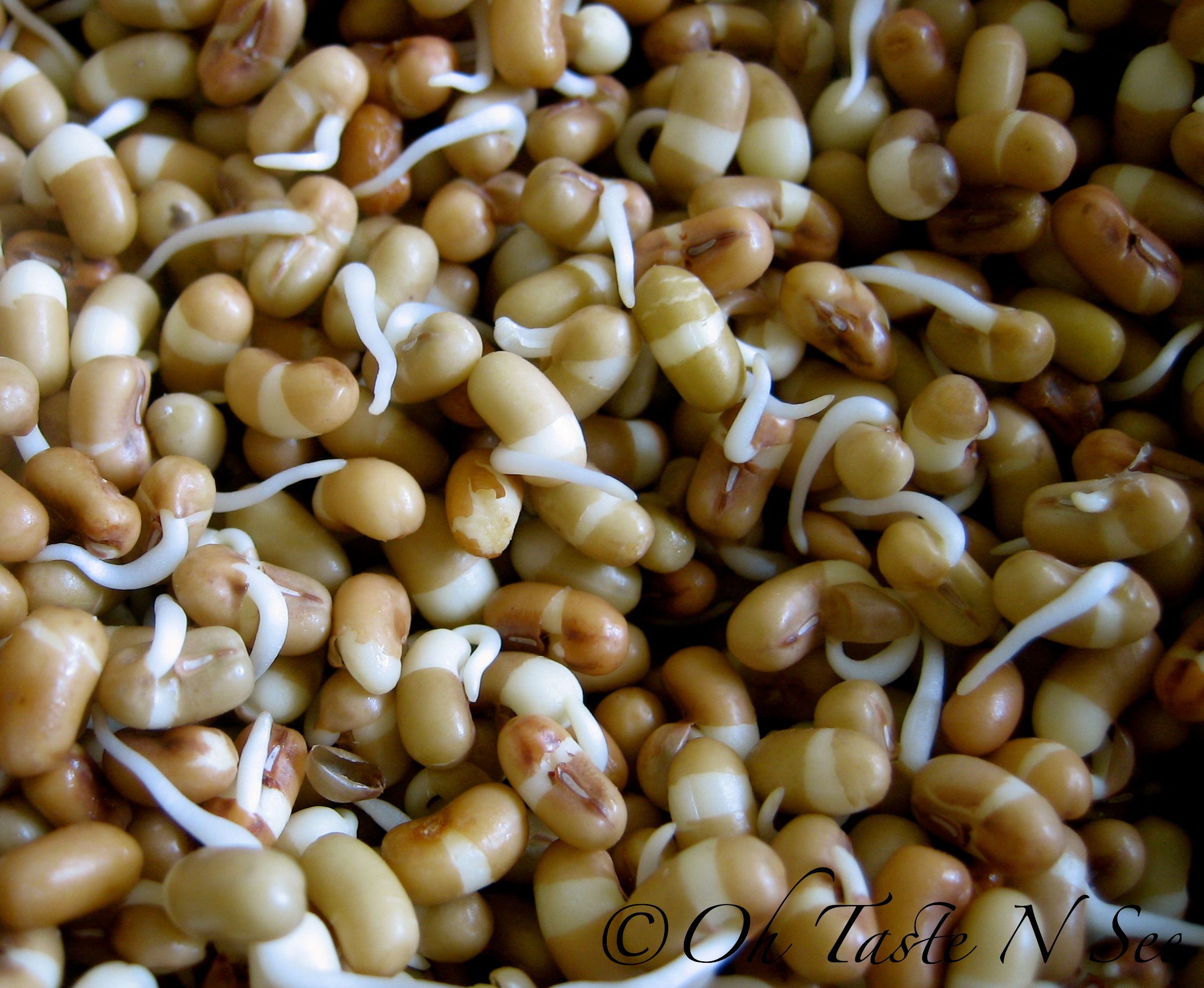 Sprouted Moth Bean Bell Pepper Pulao