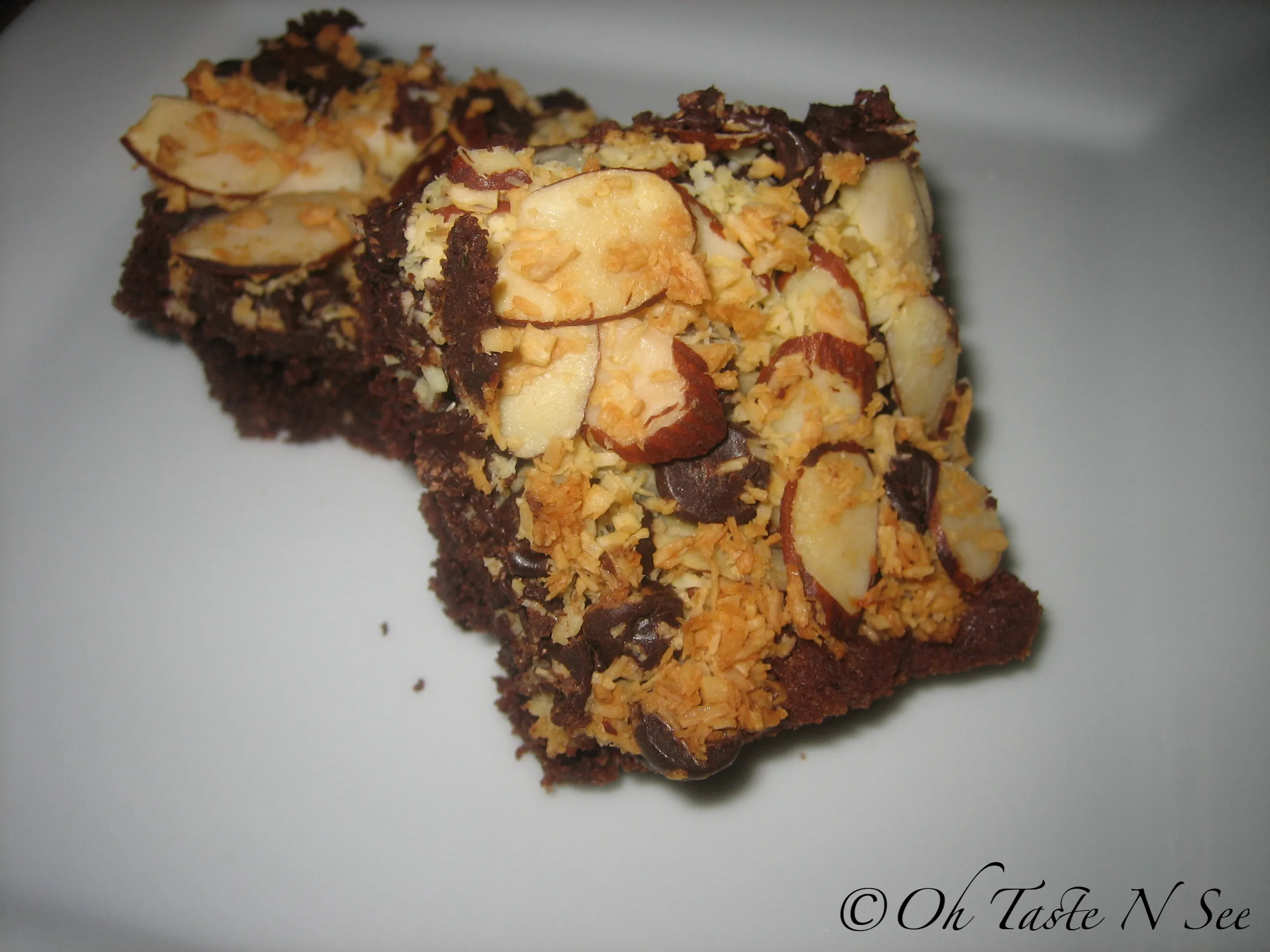 Chocolate Almond Coconut Bars 2