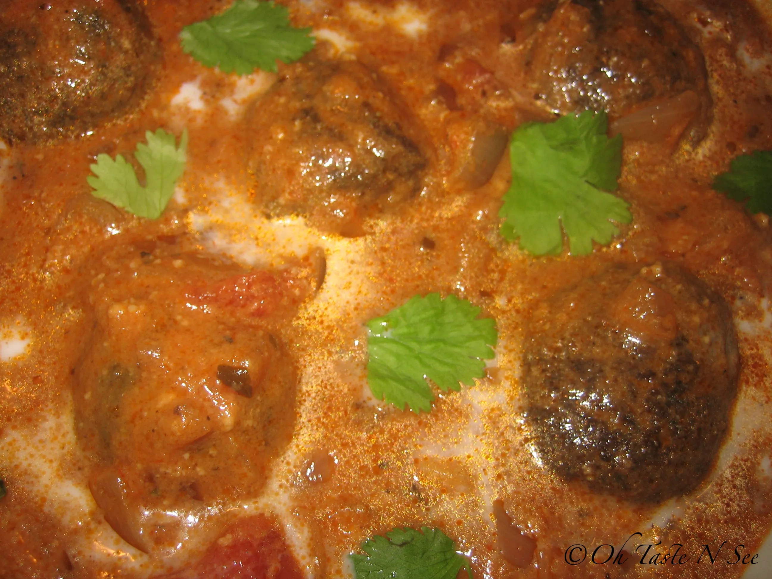 Spinach Bread Kofta curry 2