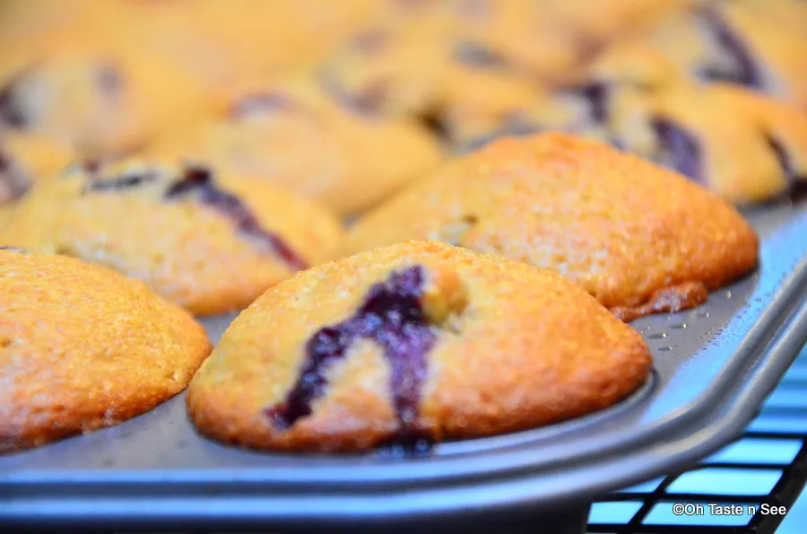 spelt blueberry muffin 4