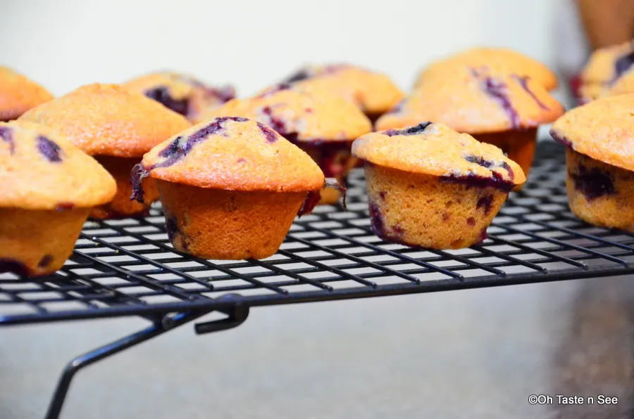 blueberry spelt muffins 6