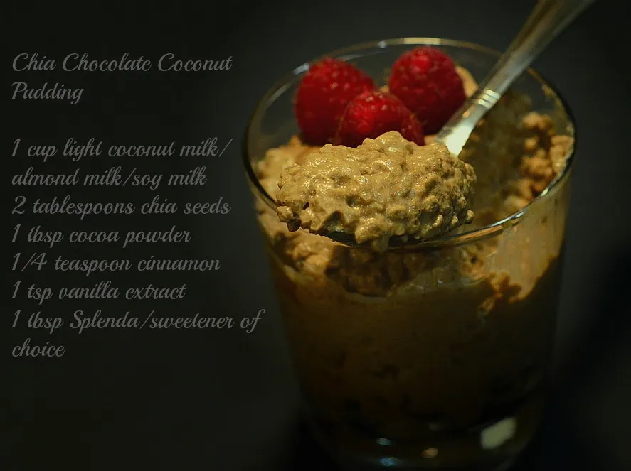 chiapudding5