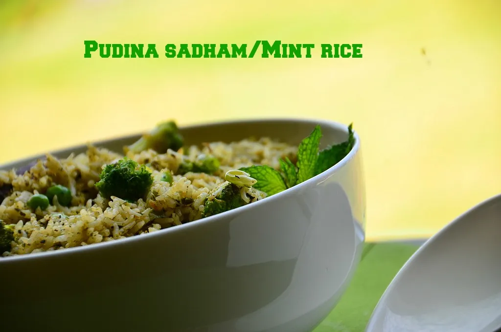 pudina_rice4