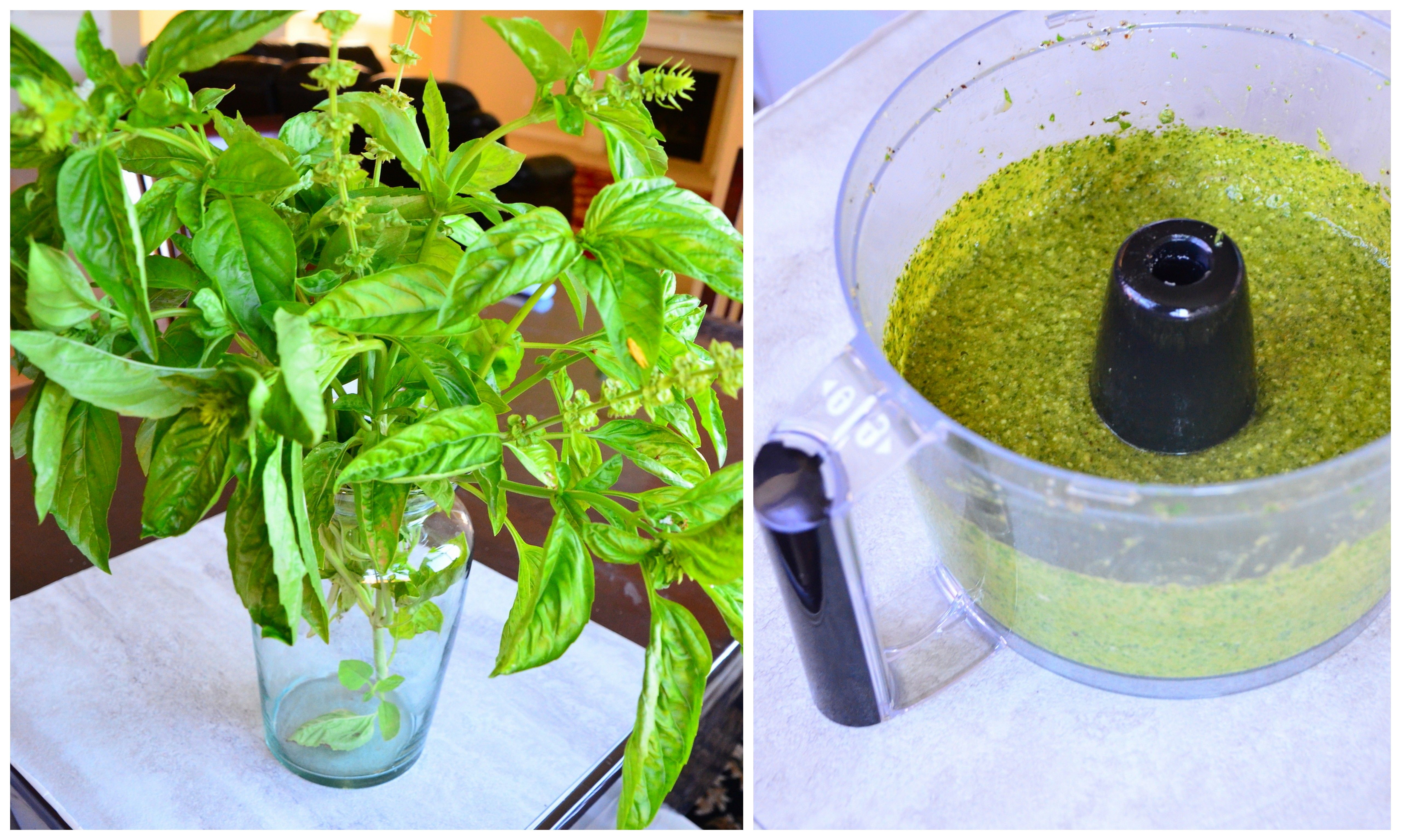 Pesto Genovese - Classic Basil Pesto